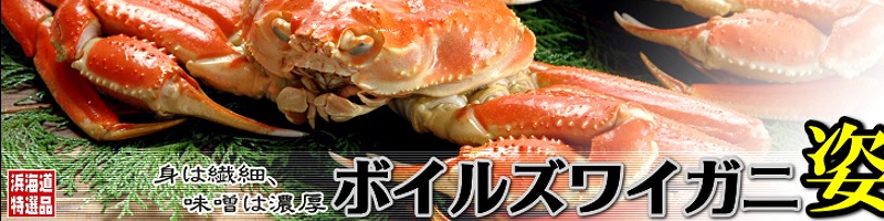 �J�j�̕l�C�����T�C�g